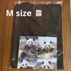 パンダファミリーTシャツ黒色Mサイズアドベンチャーワールド新作