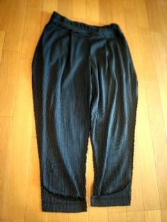 希少】ISSEY 撒ける MIYAKE 2009年パリコレ プリーツ サルエルパンツ