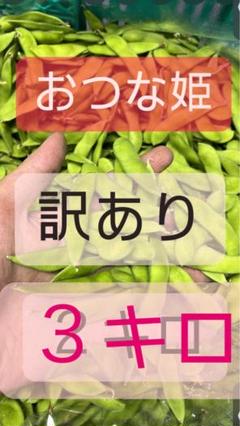 【makiminさん専用】新潟黒埼産枝豆 おつな姫A品6キロ おつな姫3kg新潟産枝豆 ｜ 新潟朱鷺メキ市場