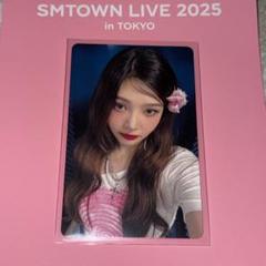Red Velvet ジョイ JOY ペンミ カードケース SAPPY トレカ Red Velvet ジョイ JOY ペンミ カードケース SAPPY トレカ K-POP