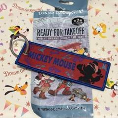 ディズニー ドリームステイクフライト フライトタグ ミッキー