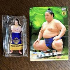 藤青雲　大相撲カード、アクスタセット