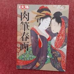 芸術新潮 2021年1月号 月岡雪崖 肉筆春画 月岡雪鼎の春画が凄いぞ・肉筆浮世絵ベスト10・芸術新潮6月号
