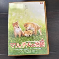 マリと子犬の物語 [船越英一郎／松本明子]｜中古DVD [レンタル落ち] [DVD] tf8su2k Amazon.co.jp: マリと子犬の物語 [船越英一郎／松本明子]｜中古