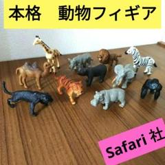 Safari社　動物フィギュア【19点セット】 Safari社 動物フィギュア【19点セット】