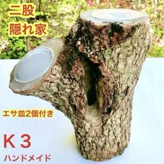 KK様用 クワリウム 天然クヌギ 天然樹 洞 佐賀県産 2025年最新】樹洞加工の人気アイテム - メルカリ