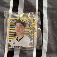 即購入可❣️ジェイテクト STINGS愛知 関田誠大 選手グッズ 大人気4点セット JTEKT-STINGS-AICHI on X: 