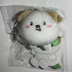Riize アントン ぬいぐるみバッジ 一部予約！】 アントン ANTON RIIZE Amazon.co.jp: ぬいぐるみ