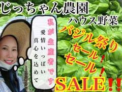 農家直送 新鮮野菜 バジル ばじる 無農薬