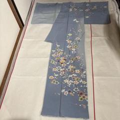 美品 紗袷 夏着物 “丁度いい静と動と涼を届ける夏草と笹と梅の蕾