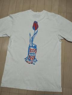 wasted youth WhimsySocks VERDY コラボTシャツのサムネイル