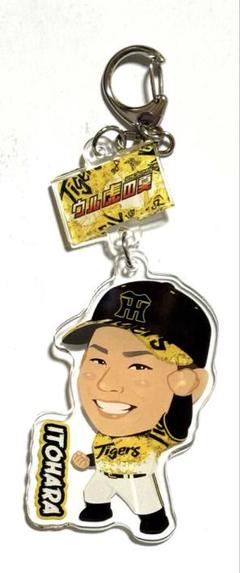阪神タイガース　FC限定ガラコロC賞 糸原健斗選手