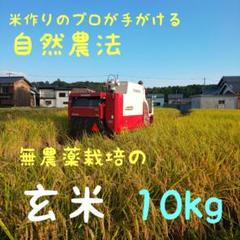 満点の 送料込み 完全無農薬栽培 自然農法 兵庫県三田産 コシヒカリ 20kg - 米