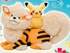ウインディ マスコット Pokemon Petit タグ付き 美品 2025年最新】ウインディ ぬいぐるみの人気アイテム - メルカリ