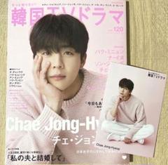 【特典付き】もっと知りたい韓国TVドラマ　チェジョンヒョプ　vol.120のサムネイル
