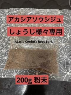 2025年最新】acacia confusaの人気アイテム - メルカリ