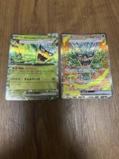 タケルライコ オーガポンみどりのめんex SAR 7枚セット オーガポンみどりのめんex【SAR】{125/101} - カードラッシュ