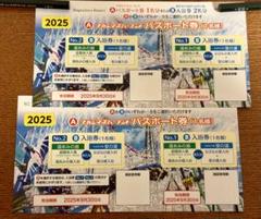 2025年最新】ナガシマスパーランド パスポート券 2枚セットの