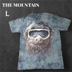 海外古着ザマウンテン　POWDER PIG Tシャツ Lサイズ　タイダイブルー系