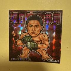 RIZINステッカー堀口恭司、セルジオペティスRIZIN47セット RIZIN47 堀口恭司 ステッカー - メルカリ