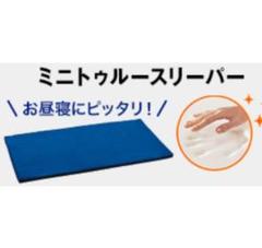 トゥルースリーパー ごろ寝マット ミニトゥルースリーパー お昼寝にぴったり!