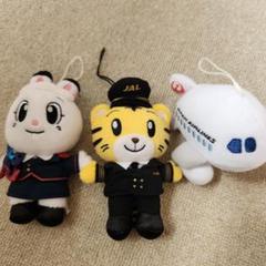 JAL コレクションアイテム レア物 ビニール製 タペストリー