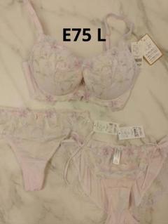 E75 チュチュアンナ　セット　花　フラワー　レース　ひも Tショーツ　カラフル
