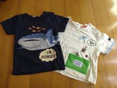 昆虫Tシャツ★ジンベエザメTシャツ【2枚セット】のサムネイル