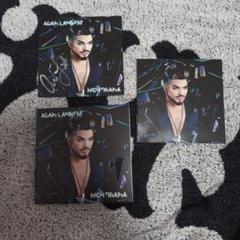 Adam Lambert High Drama サイン入り