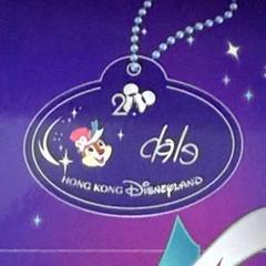 香港ディズニー 20周年 ネームタグ キーホルダーセット 香港ディズニー 20周年 ネームタグ キーホルダーセット - メルカリ