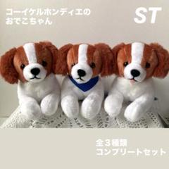コーイケルホンディエのおでこちゃん おすわり VMCコンプリート 大谷翔平 コーイケルホンディエのおでこちゃん おすわり VMCコンプリート
