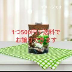 ガラス 瓶 コルク led ライト スケープ 花瓶 プランター 水耕