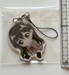 バンドリ Dreamer’s memory 缶バッジ 花園たえ 10個 バンドリ Dreamer's memory 缶バッジ 花園たえ 10個（作品別で