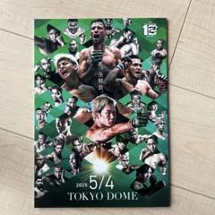 2025年最新】rizin パンフレットの人気アイテム - メルカリ
