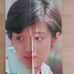 郷ひろみ1980年代当時CBSソニーオリジナルBO特大サイズ