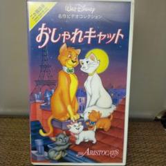 (未使用･未開封品)　おしゃれキャット [DVD] gsx453j 楽天市場】おしゃれキャット DVDの通販