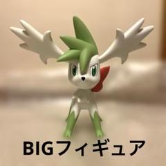 2025年最新】ポケモンシェイミスカイフォルムの人気アイテム