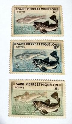 3866 外国切手 サンピエール島・ミクロン島 海洋生物 切手 1995年 連刷 3866 外国切手 サンピエール島・ミクロン島 海洋生物 切手 1995