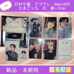 アイエン　STAY５期　dominATE トレカ　ミニボアキャップ　たまごっち