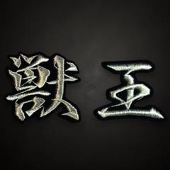 Tigers 阪神タイガース 応援ユニフォーム 北條史也 キング刺繍 阪神タイガース 北條史也選手の応援ユニ ver.2 – お客様の声