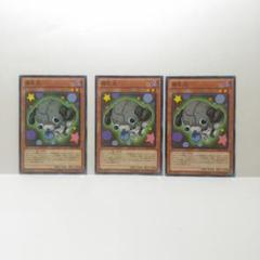 腐乱犬 3枚セット 遊戯王 無言可 レア ノーマル