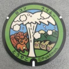 ポケふた 缶バッジ 北海道 9個セット 2025年最新】ポケふた 北海道の人気アイテム - メルカリ