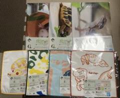 一番くじ 爬虫類＆両生類 F賞 4種、G賞 3種