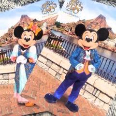 ディズニーリゾート　フォトファン　ミッキー　ファンタジースプリングス 台紙付