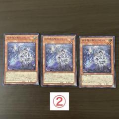 遊戯王OCG 白き森の聖徒リゼット Amazon.co.jp: 遊戯王カード SUDA-JP008 白き森の聖徒リゼット