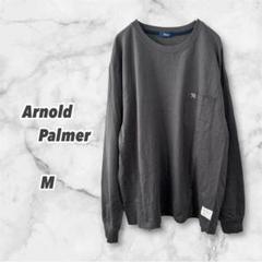 アーノルドパーマー　長袖Tシャツ（M）ロンT トップス メンズ 無地 シンプル