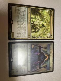 復活の声/Voice of Resurgence  DGM英語foil4枚セット 復活の声/Voice of Resurgence》[DGM] 金R | 日本最大級 MTG通販