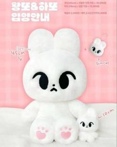 NCT ドヨン ぬいぐるみ 美品 NCT ドヨン ハト ぬいぐるみ 10cm - メルカリ