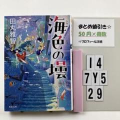 海色の壜 I4-5Y7.29