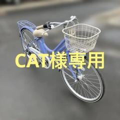 CAT様専用『引取限定』シティサイクル エンドウ商事 ARIATE 24